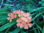 DSCN3197.JPG