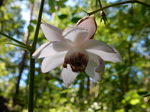 DSCN3203.JPG