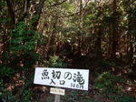 DSCN3247.JPG