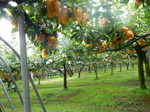 DSCN3388.JPG