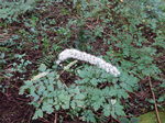 DSCN3642.JPG