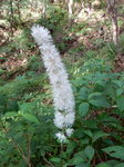 DSCN3645.JPG