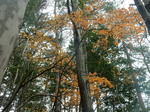 DSCN3903.JPG