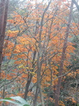 DSCN3904.JPG