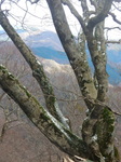 DSCN3906.JPG