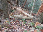 DSCN3908.JPG