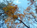 DSCN3917.JPG