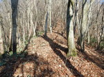 DSCN3928.JPG