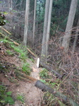 DSCN3935.JPG