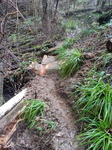 DSCN3942.JPG