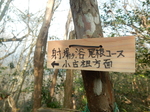 DSCN3947.JPG