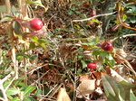 DSCN3948.JPG