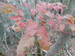 DSCN3949.JPG