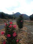 DSCN3957.JPG