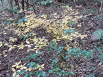 DSCN3959.JPG