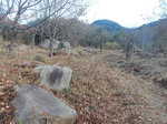 DSCN3972.JPG