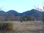 DSCN3973.JPG