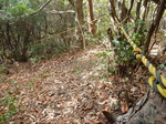 DSCN4053.JPG