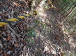 DSCN4067.JPG