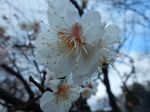 DSCN4068.JPG