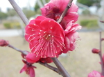 DSCN4071.JPG