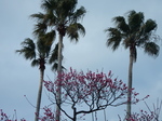 DSCN4075.JPG