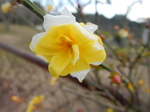 DSCN4076.JPG