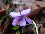 DSCN4080.JPG