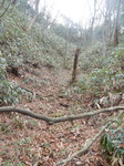 DSCN4165.JPG