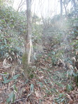 DSCN4166.JPG