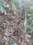 DSCN4168.JPG