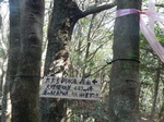 DSCN4169.JPG