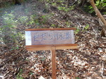 DSCN4172.JPG
