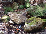 DSCN4177.JPG