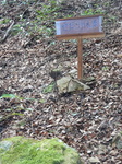 DSCN4178.JPG