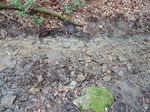 DSCN4179.JPG