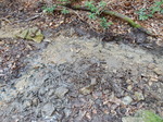 DSCN4181.JPG