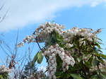 DSCN4191.JPG