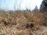 DSCN4194.JPG