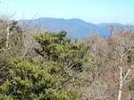 DSCN4194.JPG