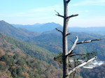 DSCN4197.JPG