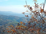 DSCN4198.JPG