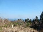 DSCN4199.JPG