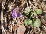 DSCN4202.JPG