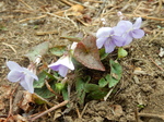 DSCN4212.JPG