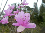 DSCN4218.JPG