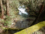 DSCN4222.JPG