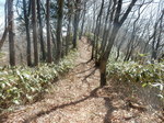 DSCN4226.JPG