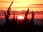 DSCN4373.JPG