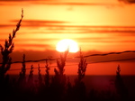 DSCN4394.JPG